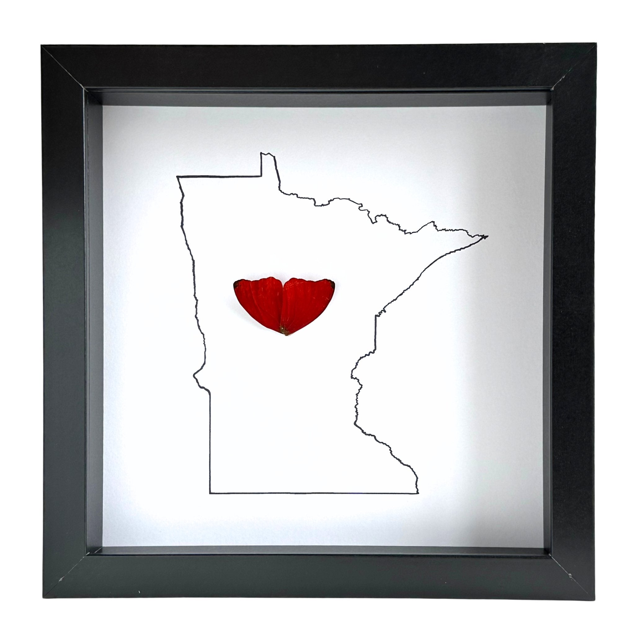 Custom City and State Hometown Framed Art with Real Butterfly Wings - Isms Butterfly Conservation ArtFramed Art