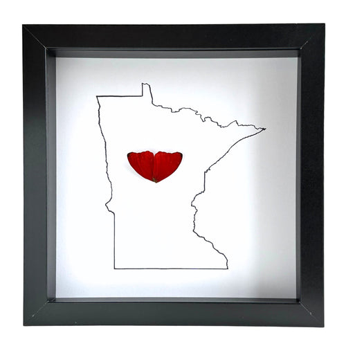 Custom City and State Hometown Framed Art with Real Butterfly Wings - Isms Butterfly Conservation ArtFramed Art