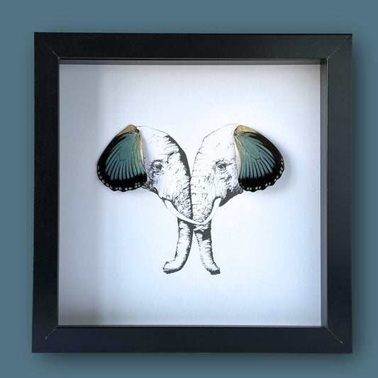 Elephant Pair Custom Framed Art with Real Butterfly Wings - Isms Butterfly Conservation ArtFramed Art