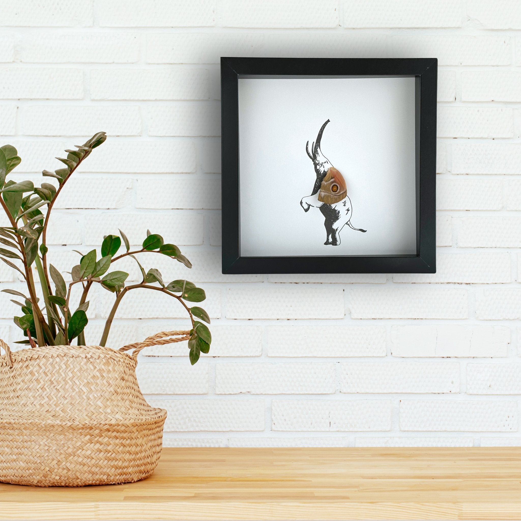 Elephant Trunk Up Custom Framed Art with Real Butterfly Wing - Isms Butterfly Conservation ArtFramed Art
