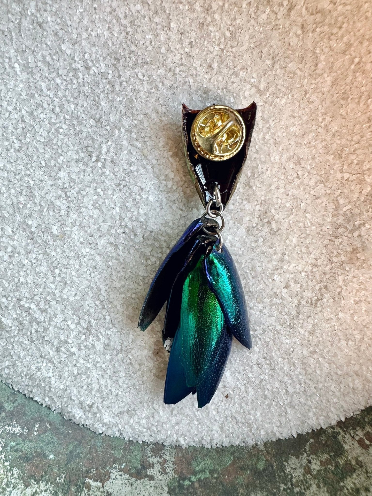 Elytra Beetle Pins - Unique Insect Accessories - Isms Butterfly Conservation Art