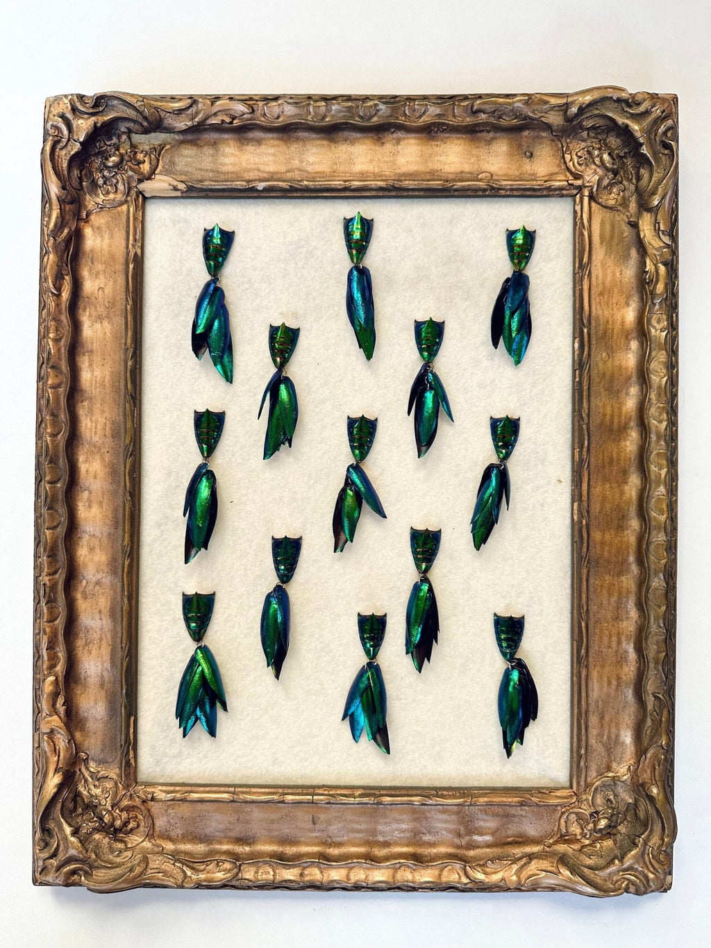 Elytra Beetle Pins - Unique Insect Accessories - Isms Butterfly Conservation Art