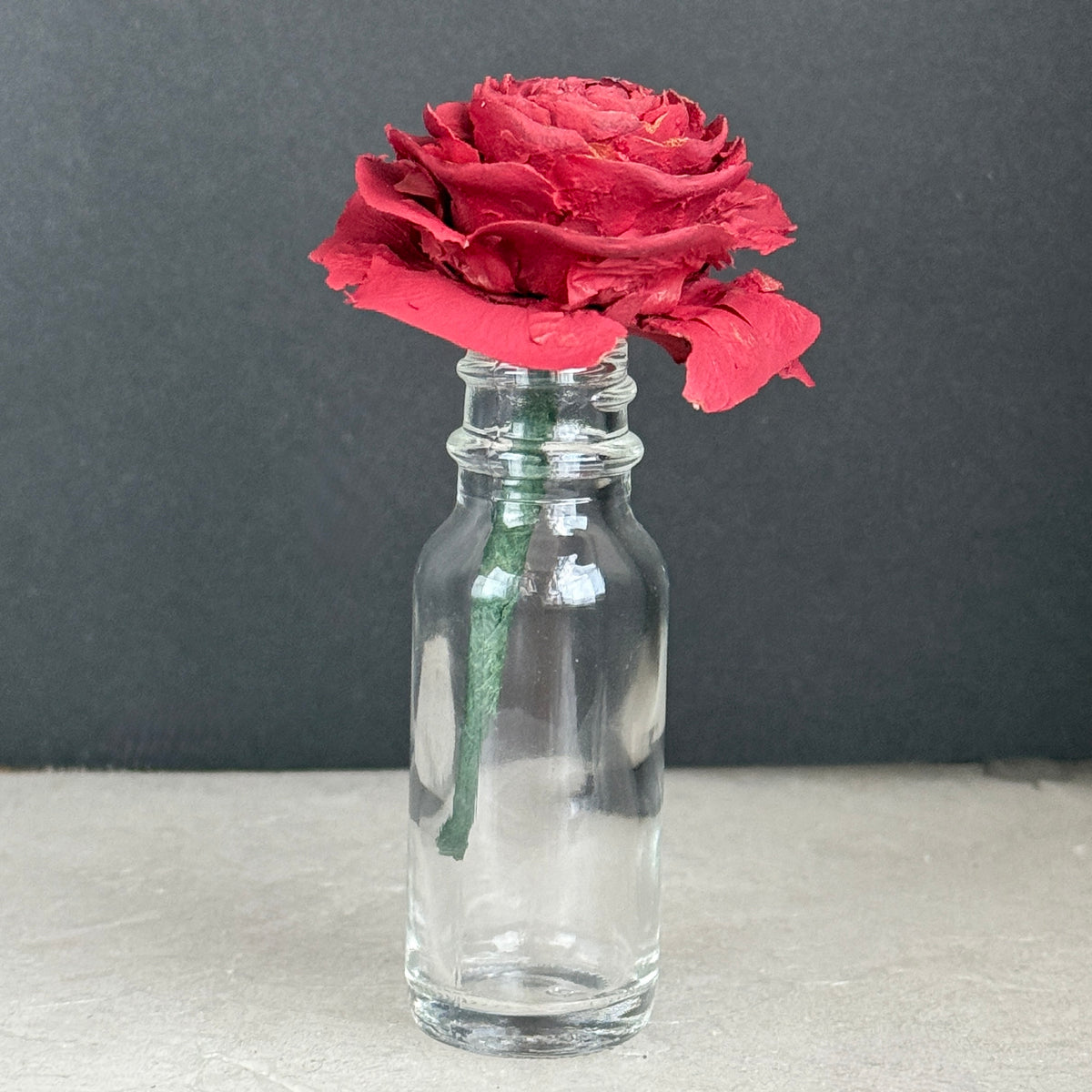 Side profile of a deep burgundy Cedar Rose in glass with its short green wrapped stem visible.