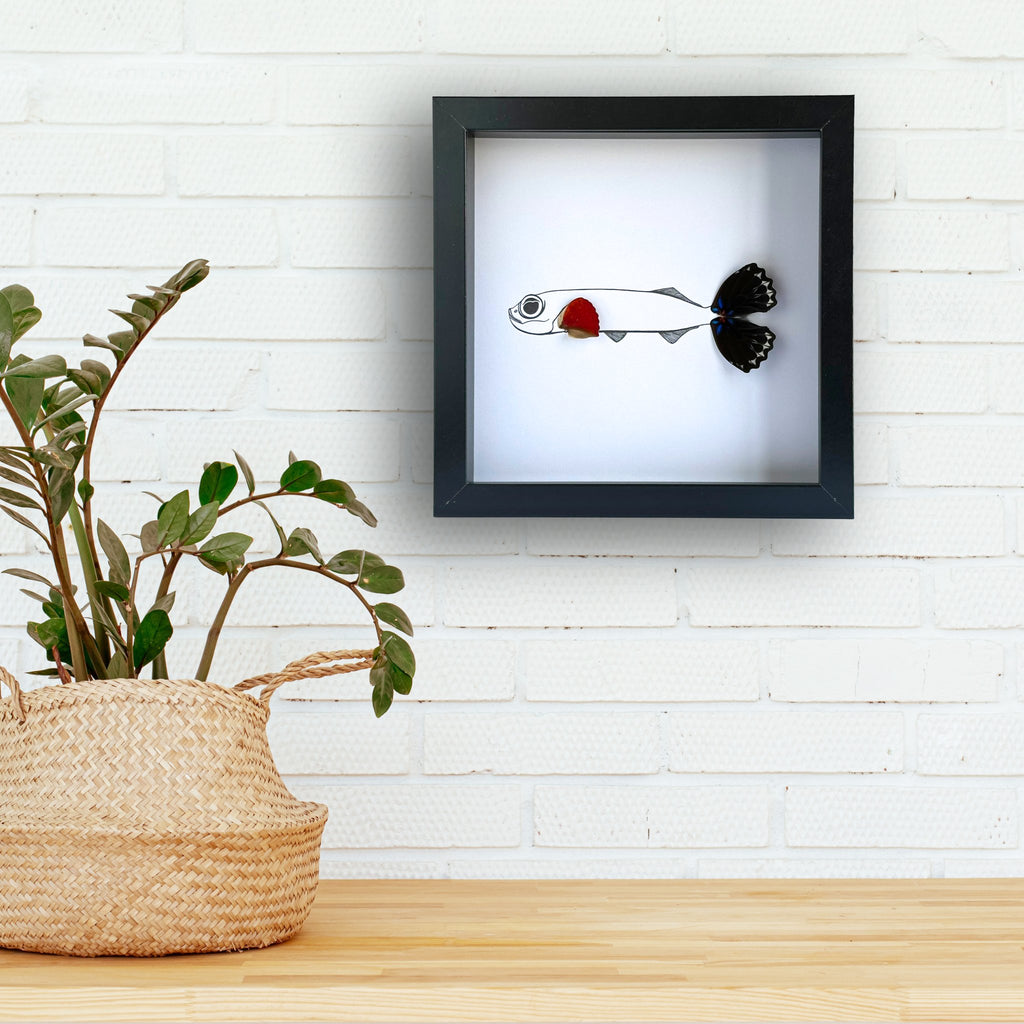 Flying Fish Custom Framed Art with Real Butterfly Wings - Isms Butterfly Conservation ArtFramed Art