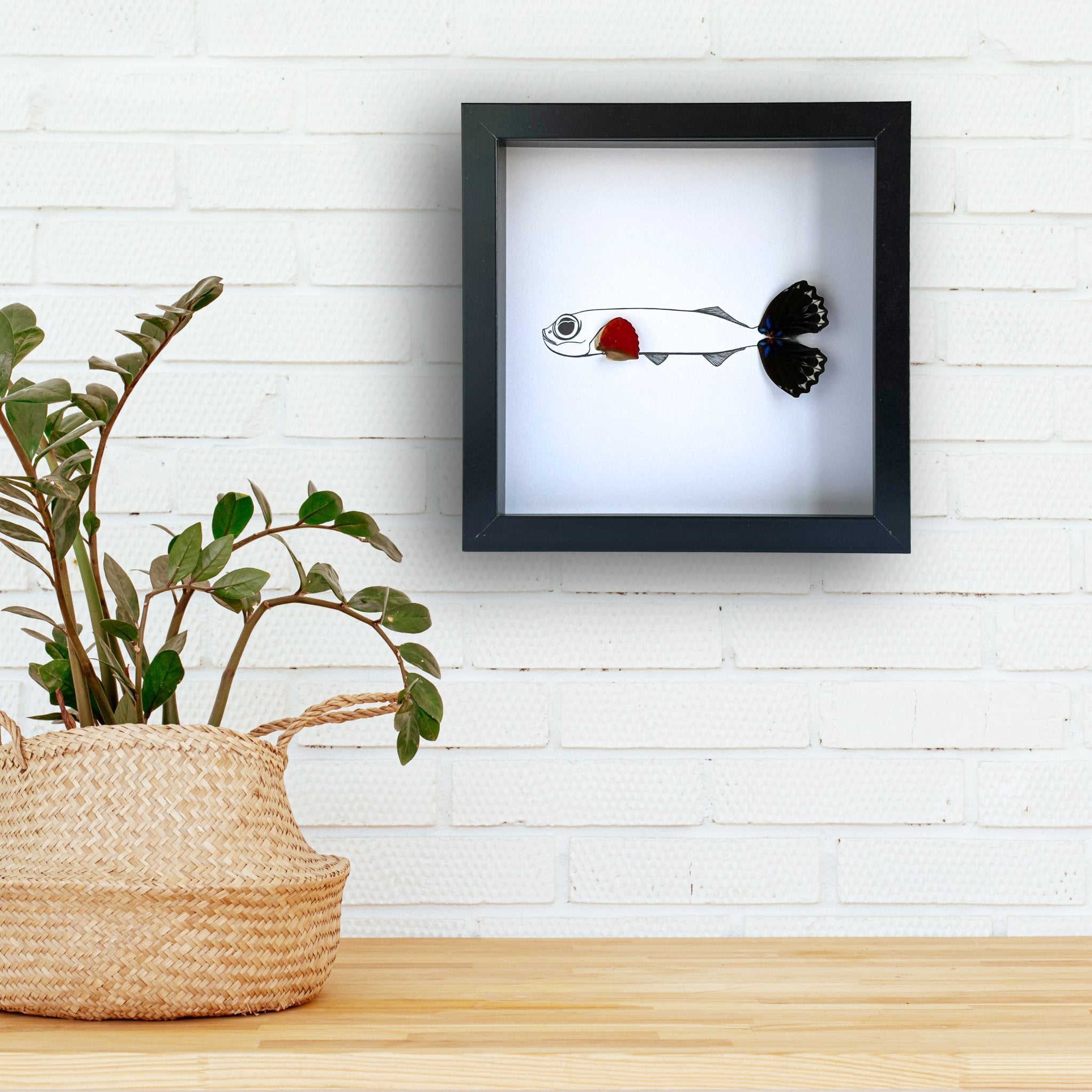 Flying Fish Custom Framed Art with Real Butterfly Wings - Isms Butterfly Conservation ArtFramed Art