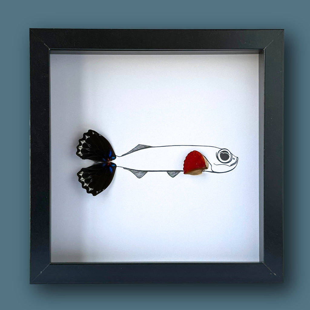 Flying Fish Custom Framed Art with Real Butterfly Wings - Isms Butterfly Conservation ArtFramed Art
