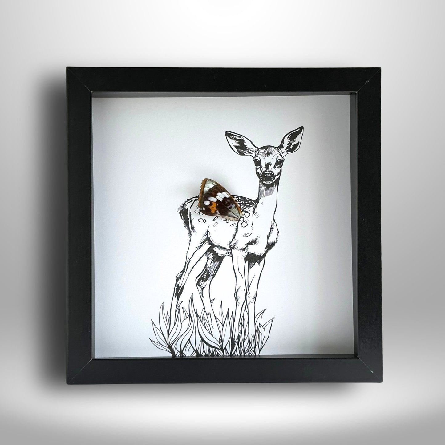 Forest Fawn Deer Framed Art with Real Butterfly Wing - Isms Butterfly Conservation ArtFramed Art