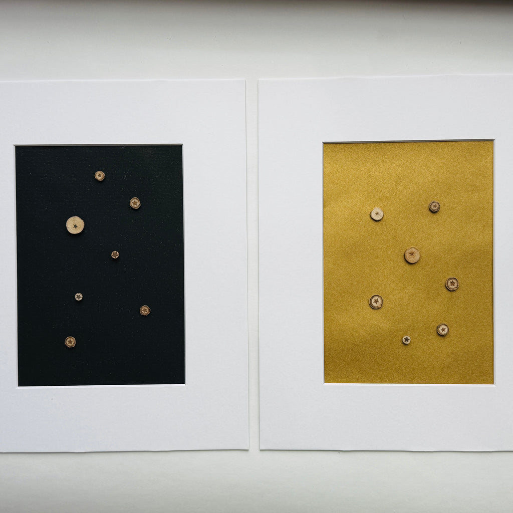 Black and gold Hidden Stars art examples shown with white mats for inspiration