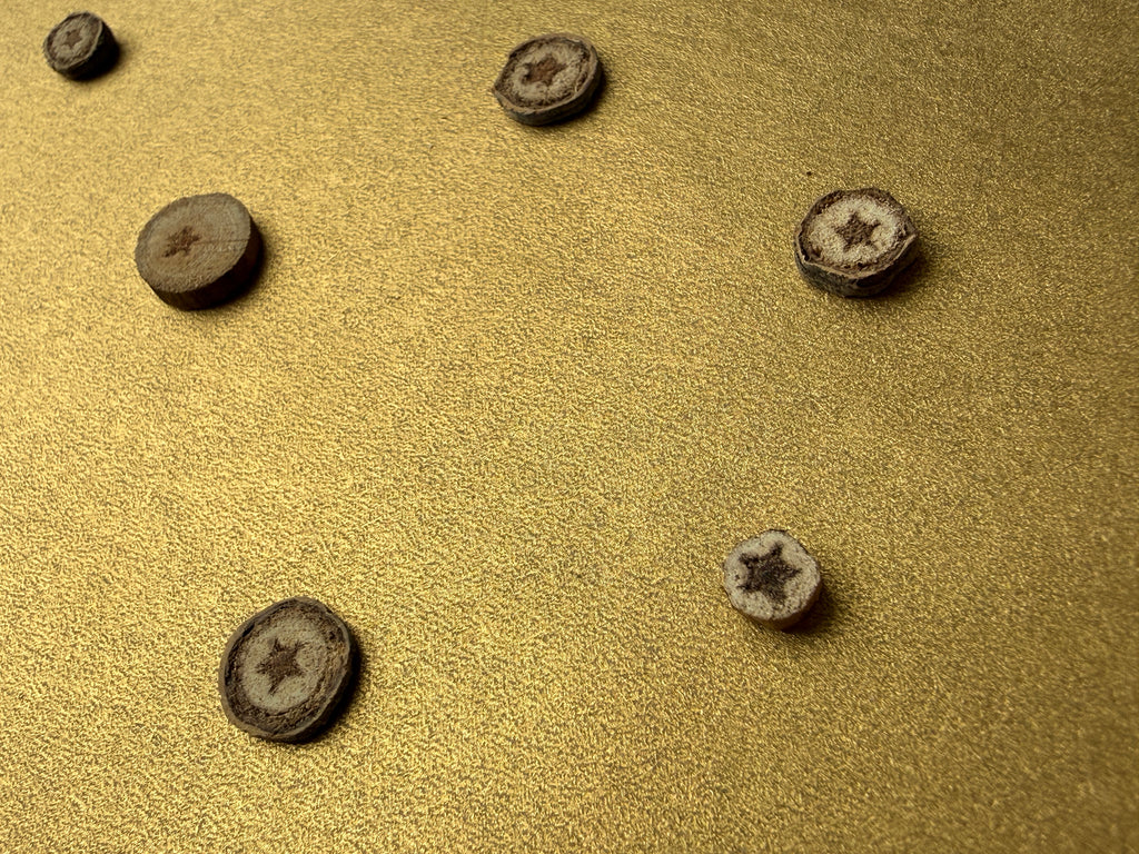 Naturally formed Hidden Stars arranged on gold 5 by 7 art paper as constellation-inspired artwork close up