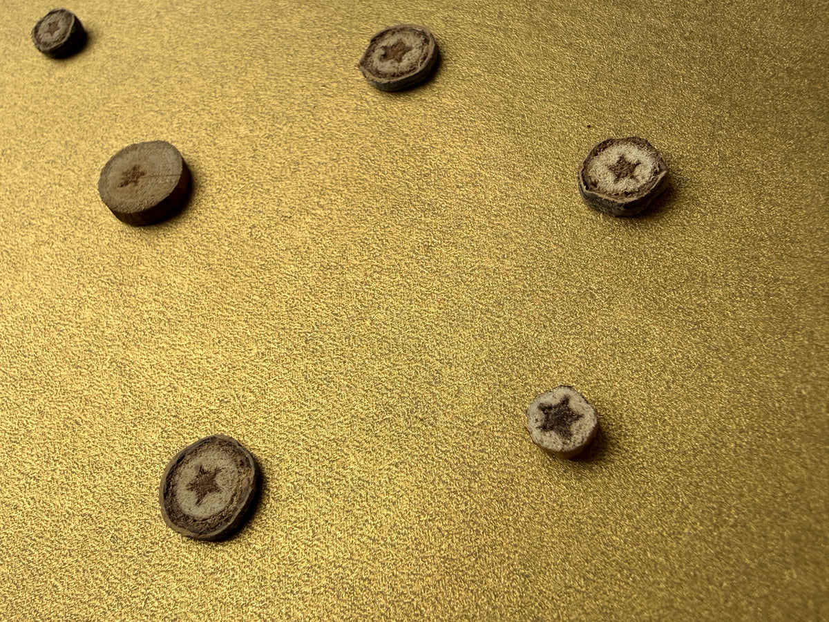 Naturally formed Hidden Stars arranged on gold 5 by 7 art paper as constellation-inspired artwork close up