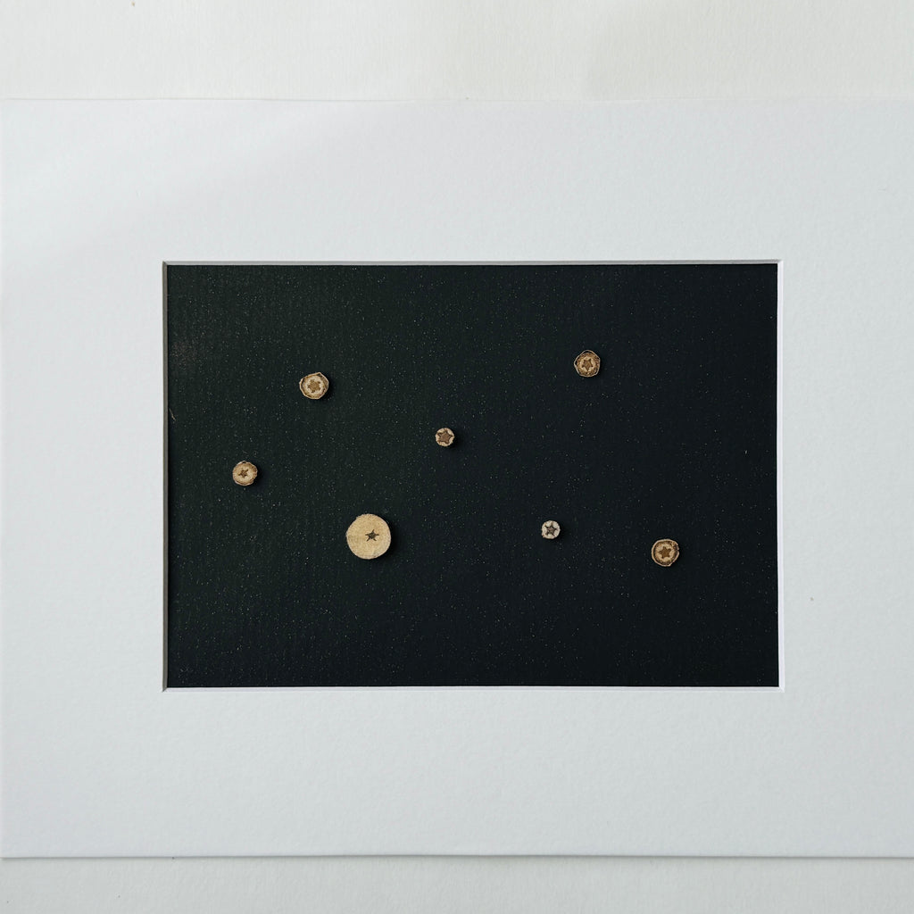 Naturally formed Hidden Stars arranged on black 5 by 7 art paper as constellation-inspired artwork