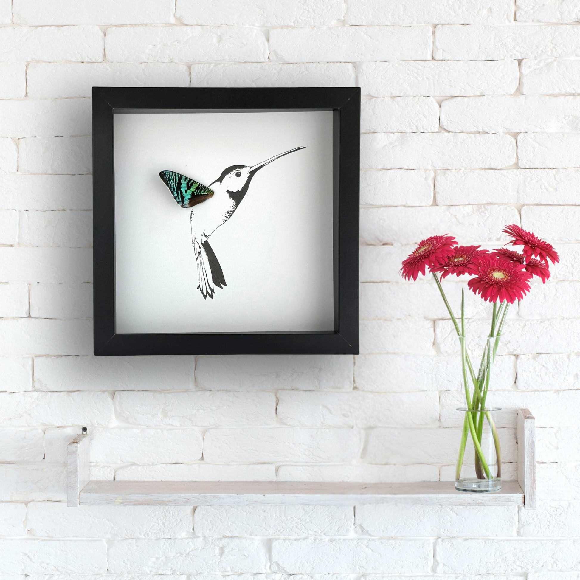 Hummingbird Customizable Framed Art with Real Butterfly Wing - Isms Butterfly Conservation ArtFramed Art