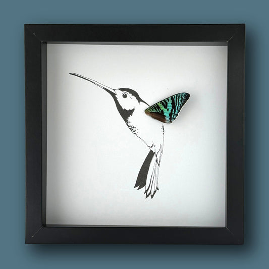 Hummingbird Customizable Framed Art with Real Butterfly Wing - Isms Butterfly Conservation ArtFramed Art