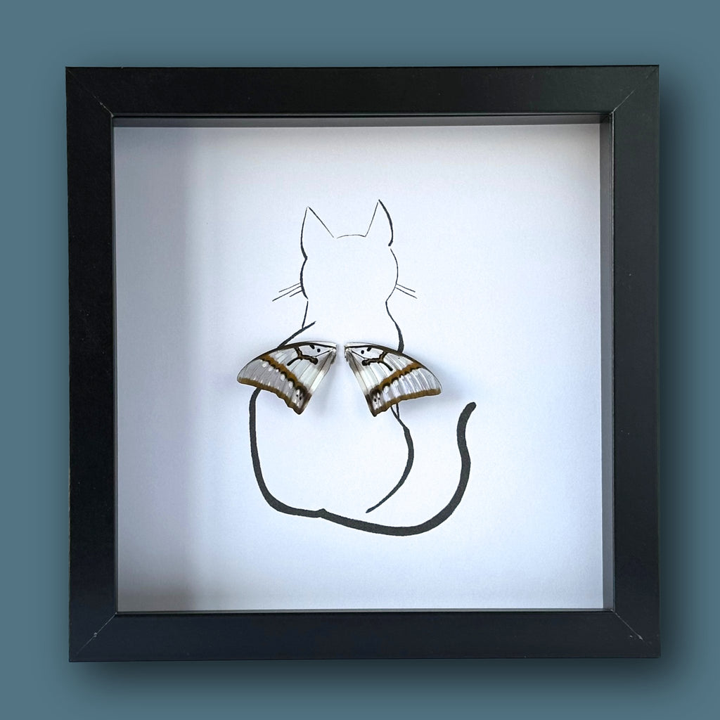 Kitty Sitting Pretty Cat Customized Framed Art with Real Butterfly Wing - Isms Butterfly Conservation ArtFramed Art