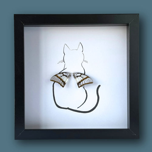 Kitty Sitting Pretty Cat Customized Framed Art with Real Butterfly Wing - Isms Butterfly Conservation ArtFramed Art