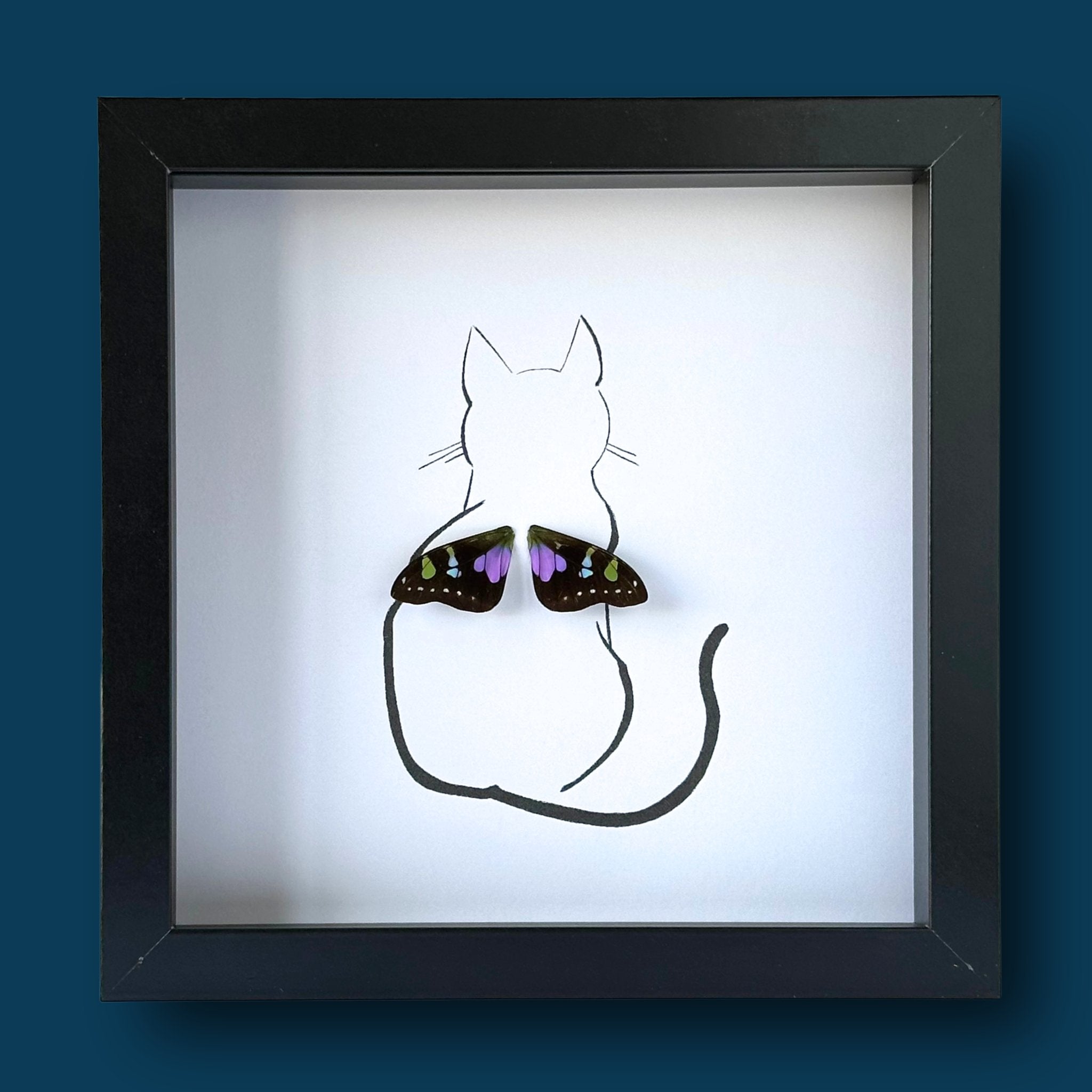 Kitty Sitting Pretty Cat Customized Framed Art with Real Butterfly Wing - Isms Butterfly Conservation ArtFramed Art