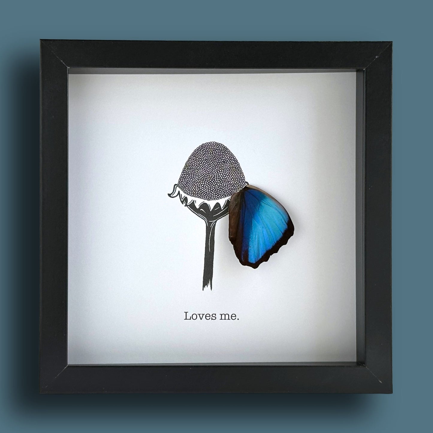 Loves Me Loves Me Not Botanical Flower Framed Art with Real Butterfly Wing - Isms Butterfly Conservation ArtFramed Art