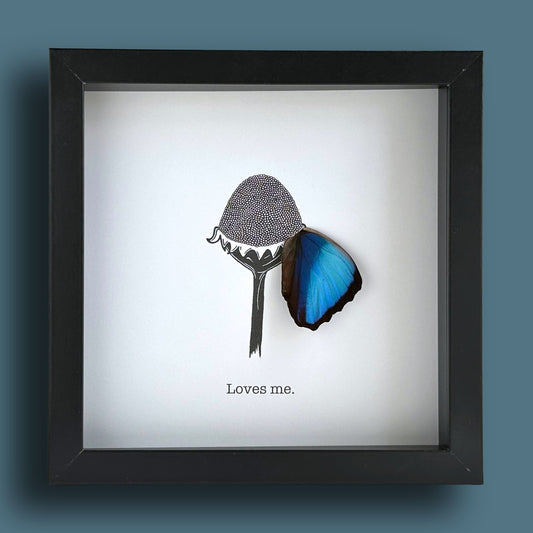 Loves Me Loves Me Not Botanical Flower Framed Art with Real Butterfly Wing - Isms Butterfly Conservation ArtFramed Art