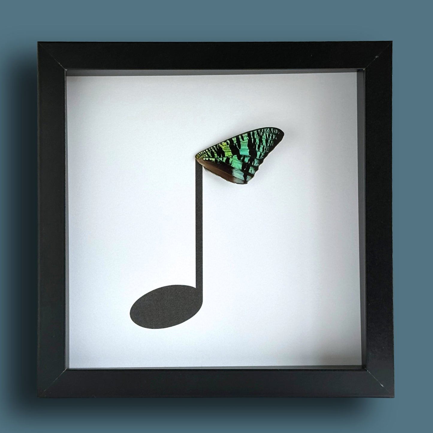 Music Eighth Note Framed Art with Real Butterfly Wing - Isms Butterfly Conservation ArtFramed Art