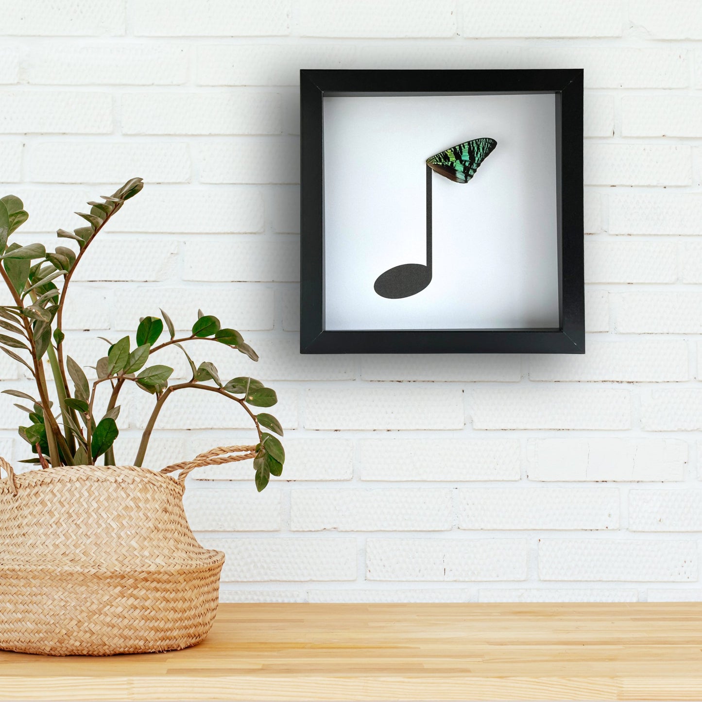 Music Eighth Note Framed Art with Real Butterfly Wing - Isms Butterfly Conservation ArtFramed Art