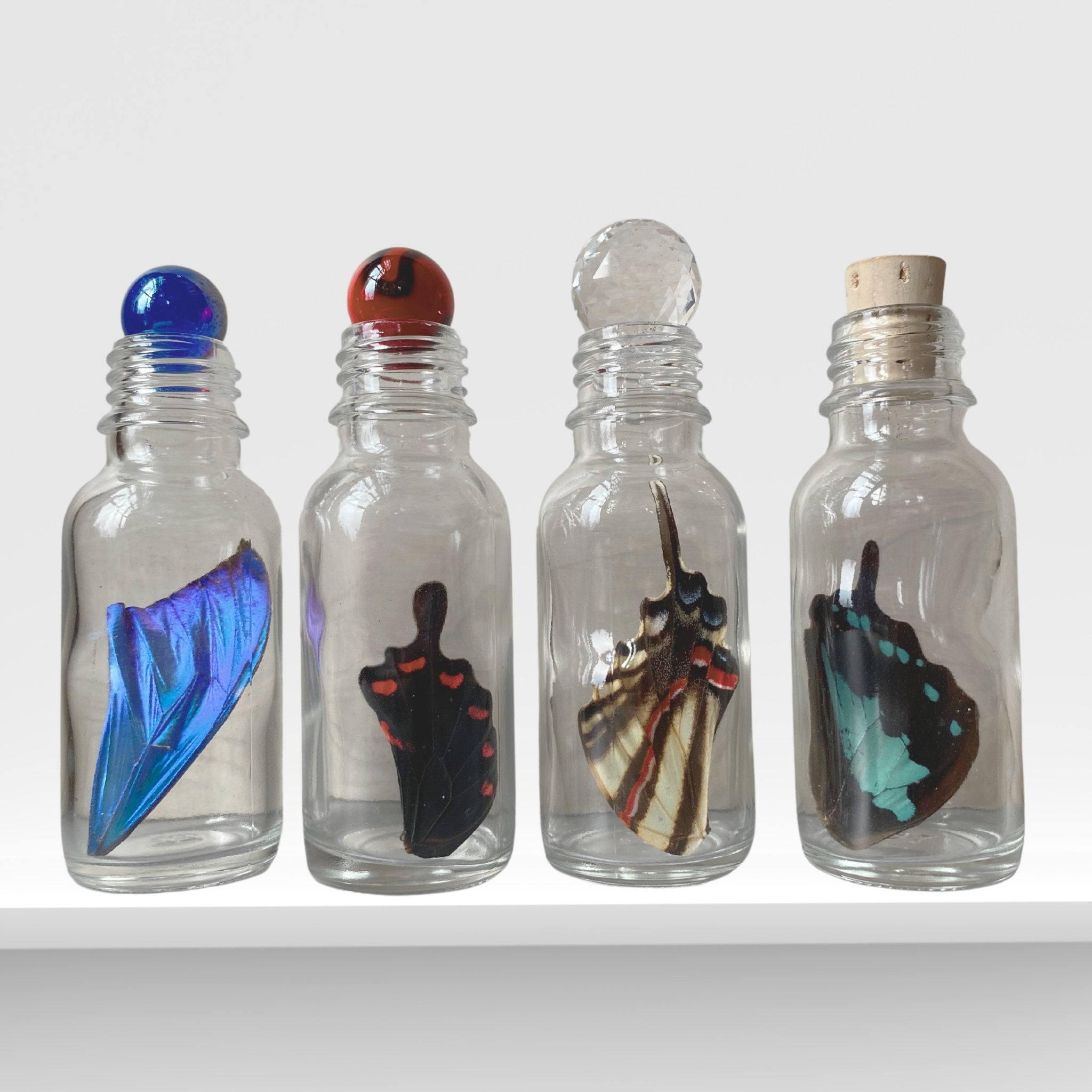 Premium Butterfly Wing in Glass Bottle - Isms Butterfly Conservation ArtBottles