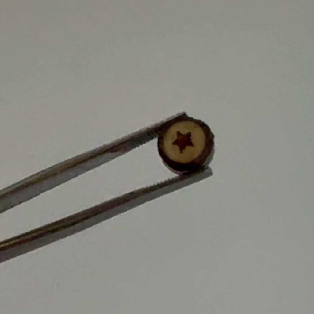 Tree Star Slide Multi-Jewelry Sealed and Domed