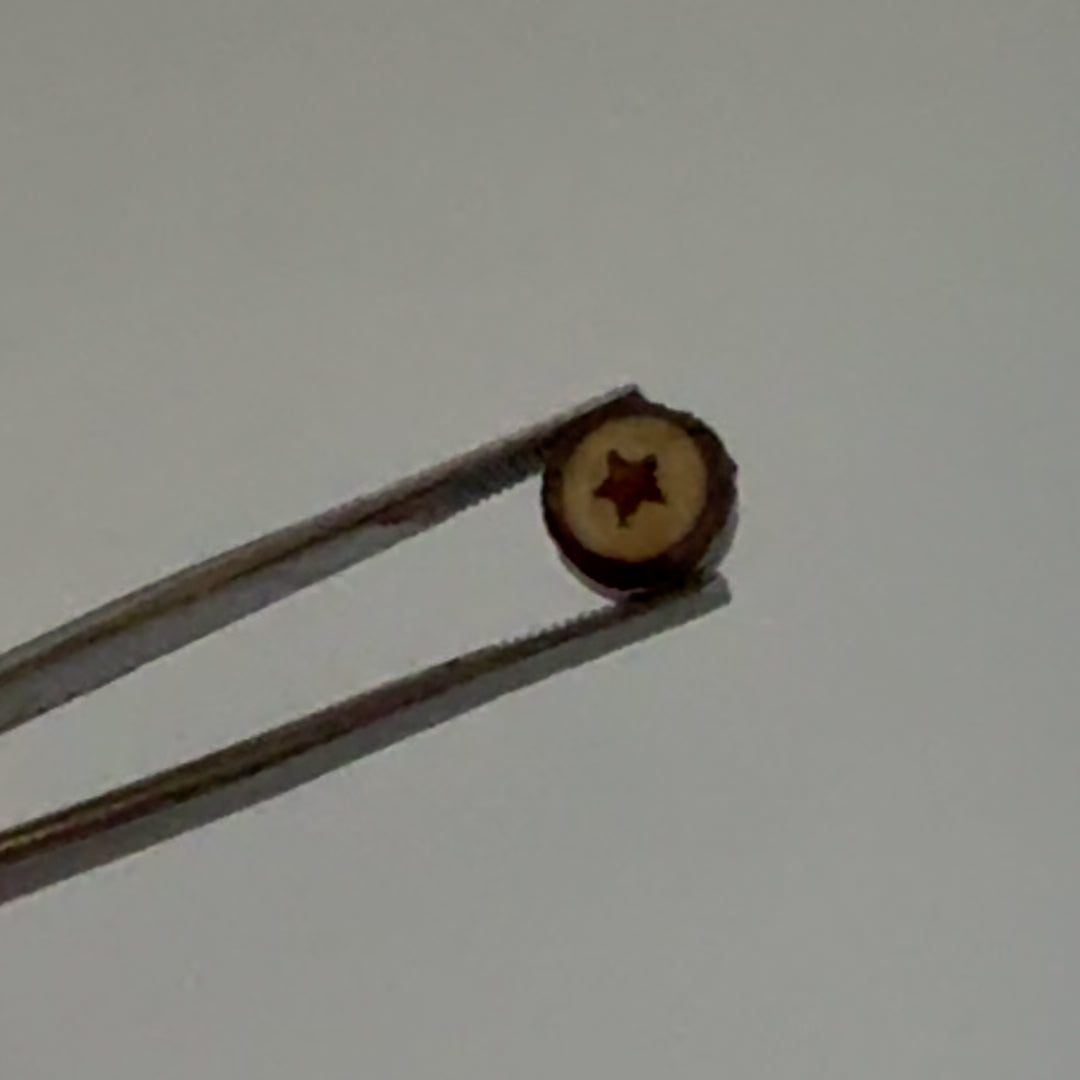 Tree Star Slide Multi-Jewelry Sealed and Domed