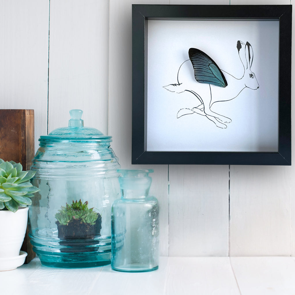 Rabbit Hare Framed Art with Real Butterfly Wing - Isms Butterfly Conservation ArtFramed Art