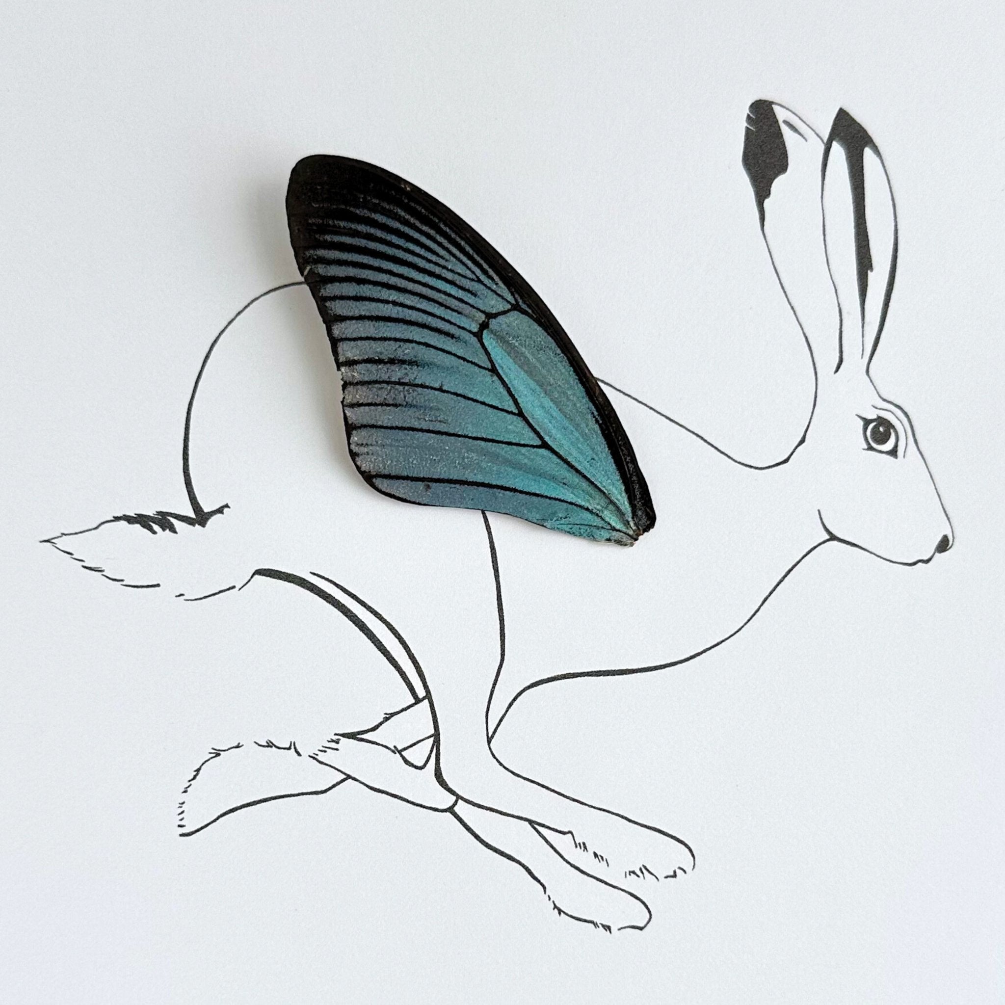 Rabbit Hare Framed Art with Real Butterfly Wing - Isms Butterfly Conservation ArtFramed Art