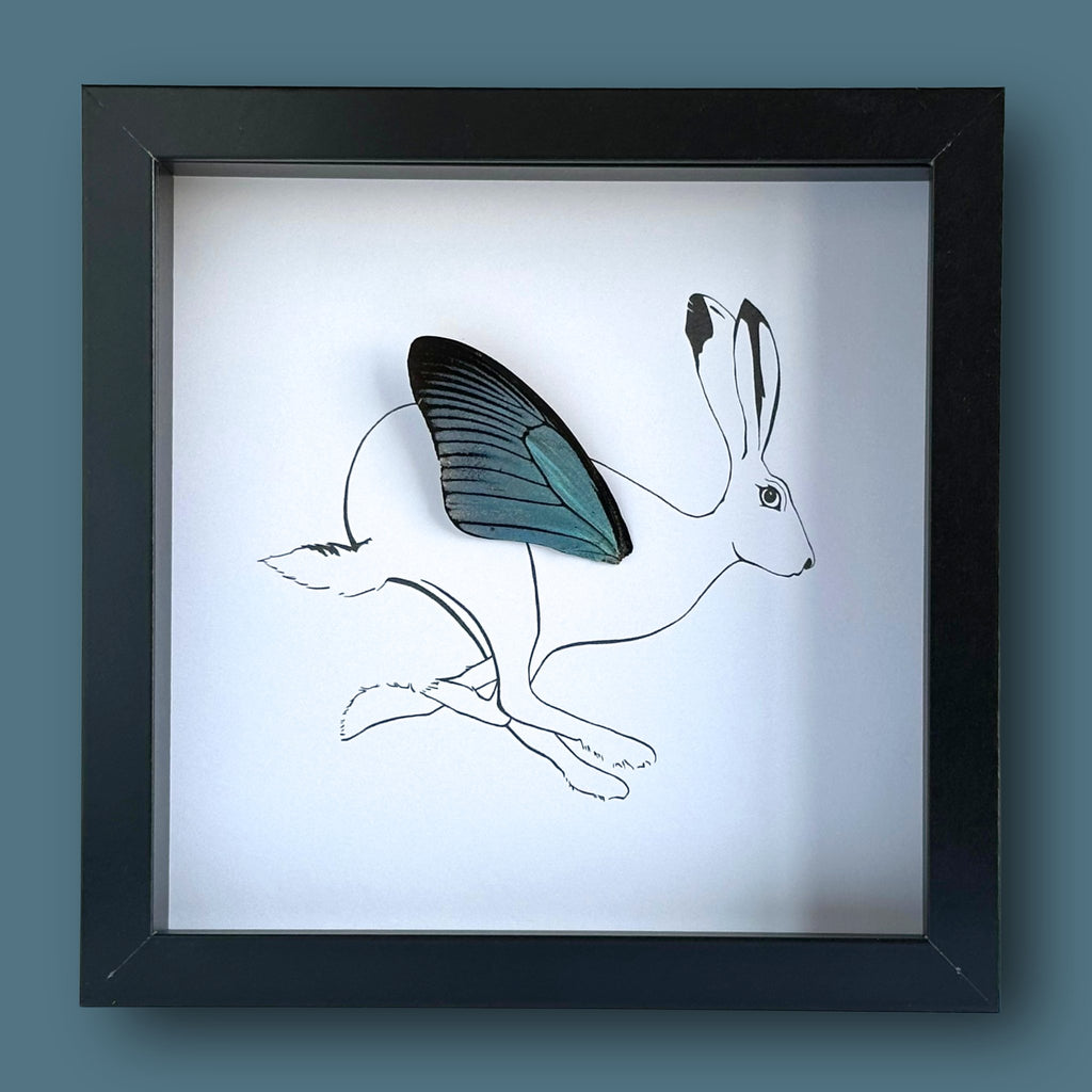 Rabbit Hare Framed Art with Real Butterfly Wing - Isms Butterfly Conservation ArtFramed Art