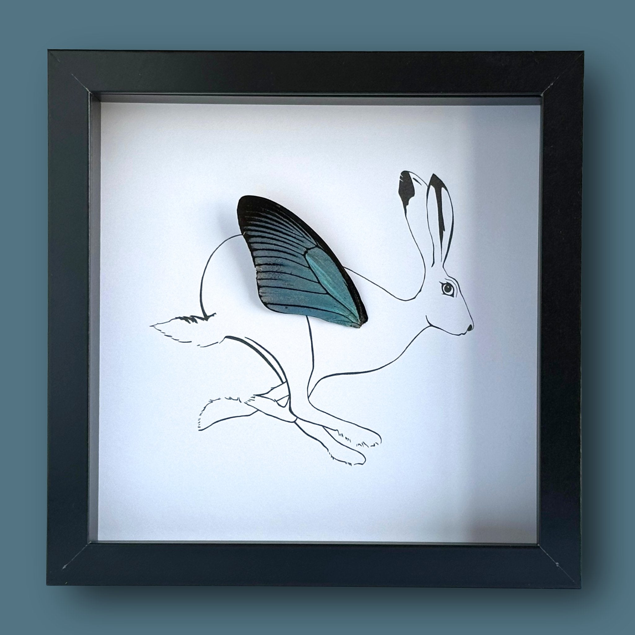 Rabbit Hare Framed Art with Real Butterfly Wing - Isms Butterfly Conservation ArtFramed Art