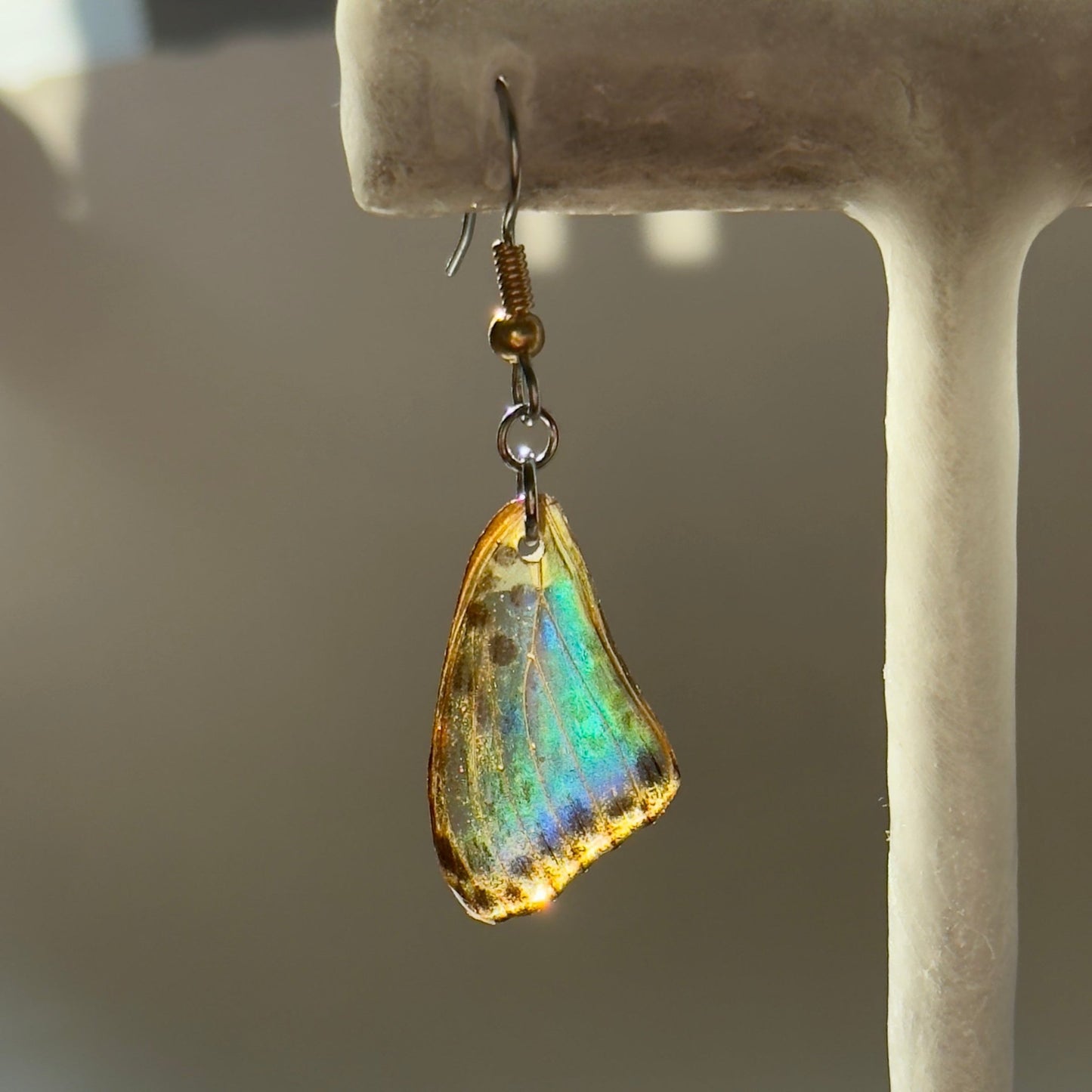 Real Butterfly Wing Earring Spotted Leopard Butterfly Earrings Mixed Metal Gold Hypoallergenic Surgical Steel - Isms Butterfly Conservation ArtEarrings