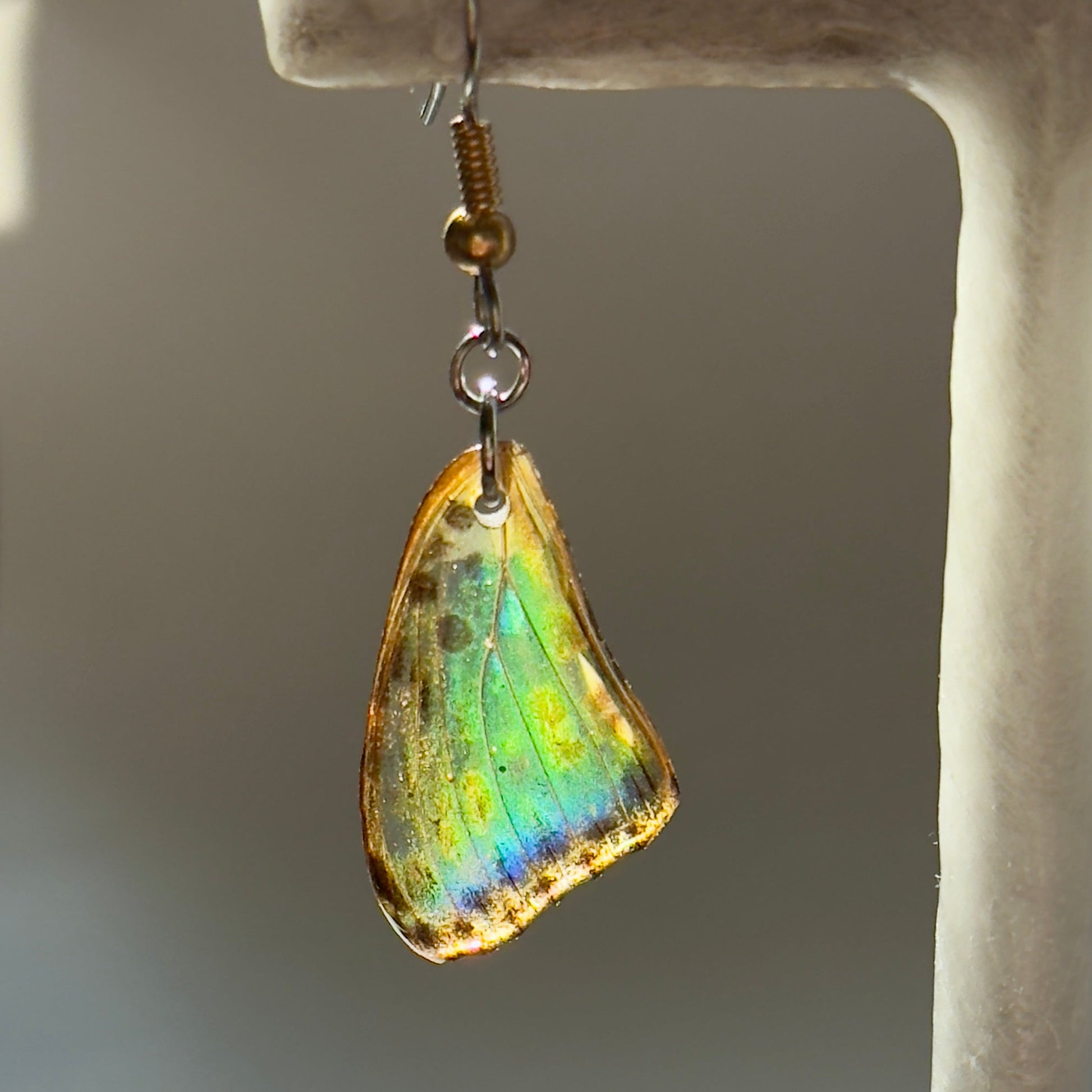 Real Butterfly Wing Earring Spotted Leopard Butterfly Earrings Mixed Metal Gold Hypoallergenic Surgical Steel - Isms Butterfly Conservation ArtEarrings