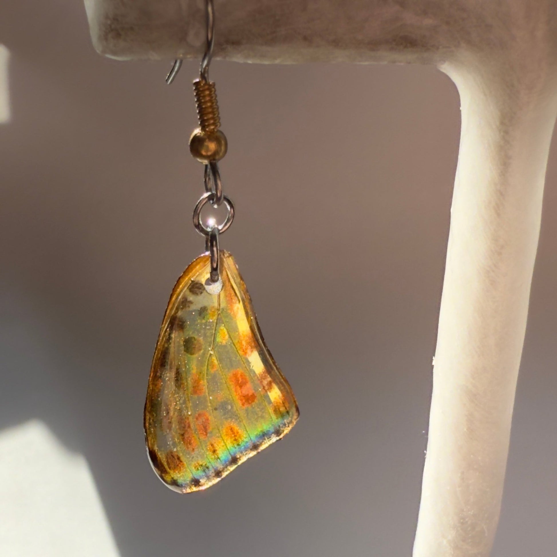 Real Butterfly Wing Earring Spotted Leopard Butterfly Earrings Mixed Metal Gold Hypoallergenic Surgical Steel - Isms Butterfly Conservation ArtEarrings
