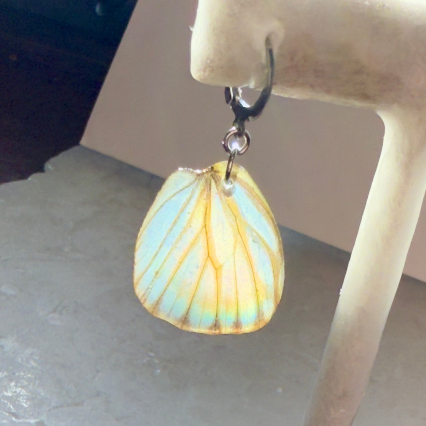 Real Butterfly Wing Earring Striped Albatross Butterflies Earrings Hypoallergenic Waterproof Surgical Steel Locking Clasp - Isms Butterfly Conservation ArtEarrings