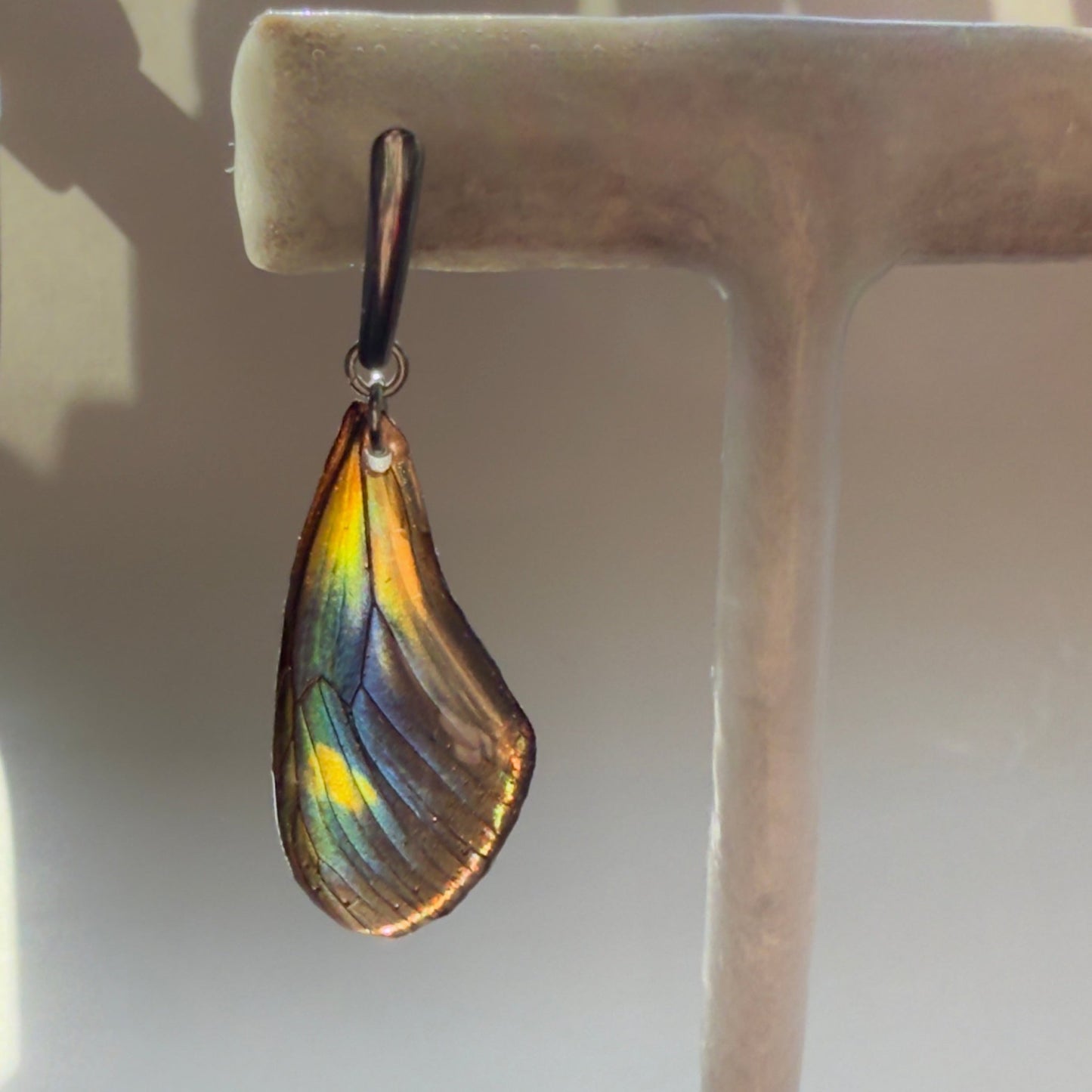 Real Butterfly Wing Earrings Heliconius Hybrid Butterfly Hypoallergenic Surgical Steel - Isms Butterfly Conservation ArtEarrings