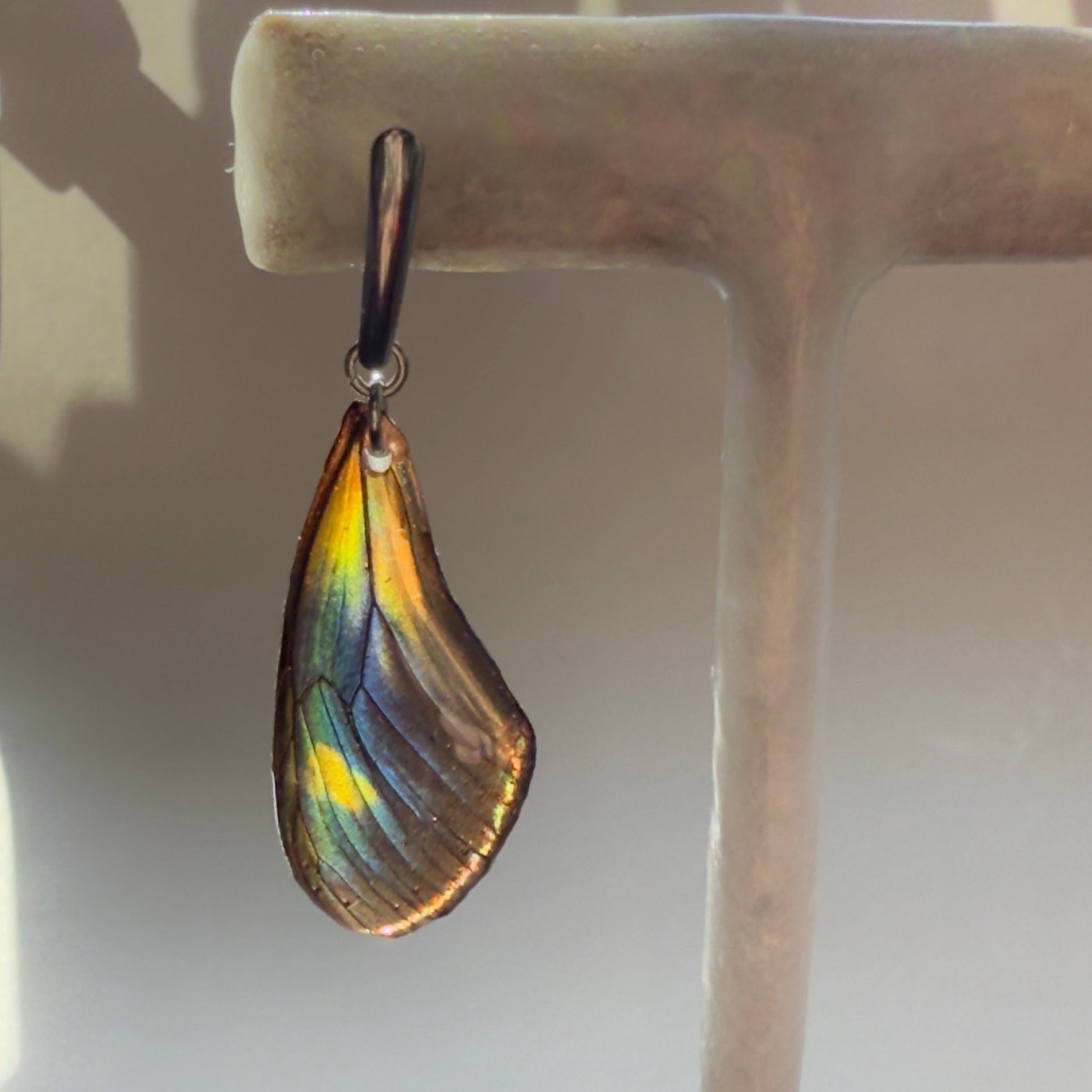 Real Butterfly Wing Earrings Heliconius Hybrid Butterfly Hypoallergenic Surgical Steel - Isms Butterfly Conservation ArtEarrings