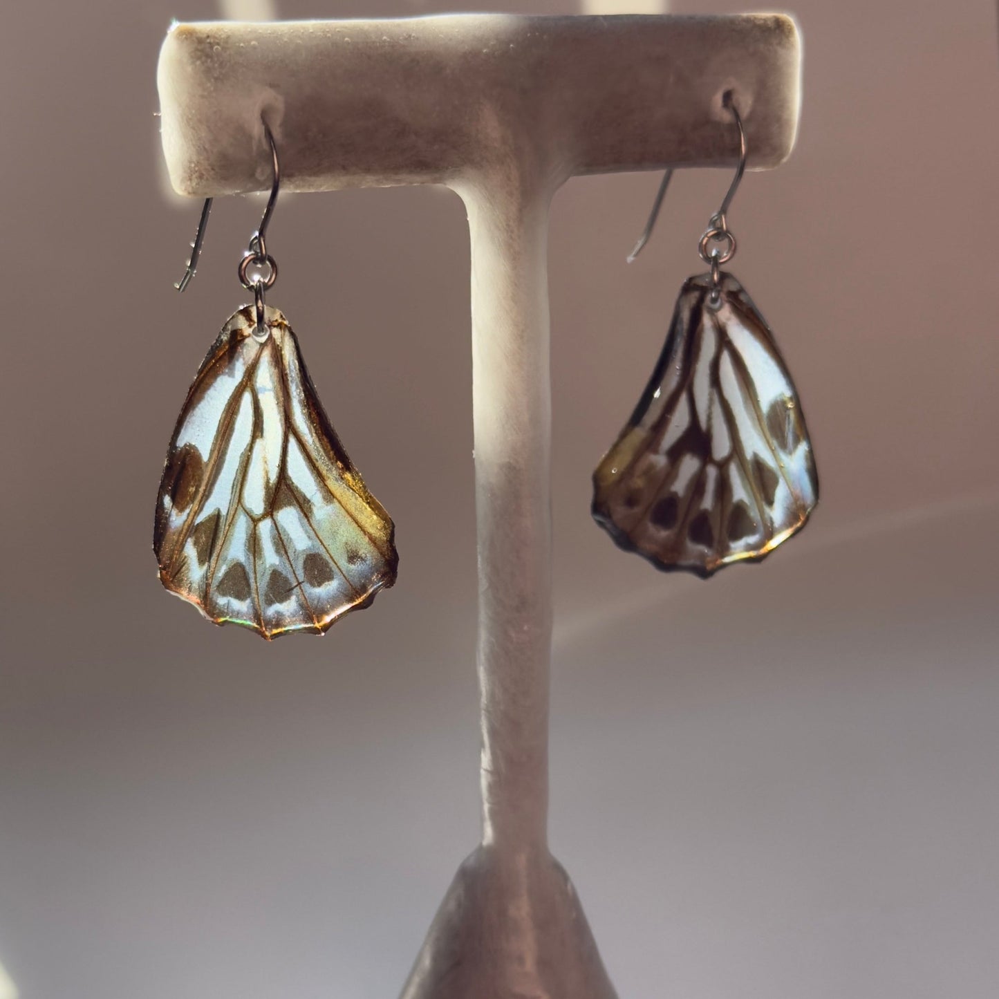 Real Butterfly Wing Earrings Malayan Zebra Hypoallergenic Surgical Steel - Isms Butterfly Conservation ArtEarrings