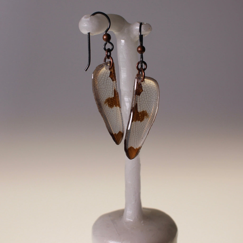 Real Dragonfly Wing Earrings Widow Skimmer Dragonflies Copper Black Niobium Earring - Isms Butterfly Conservation ArtEarrings