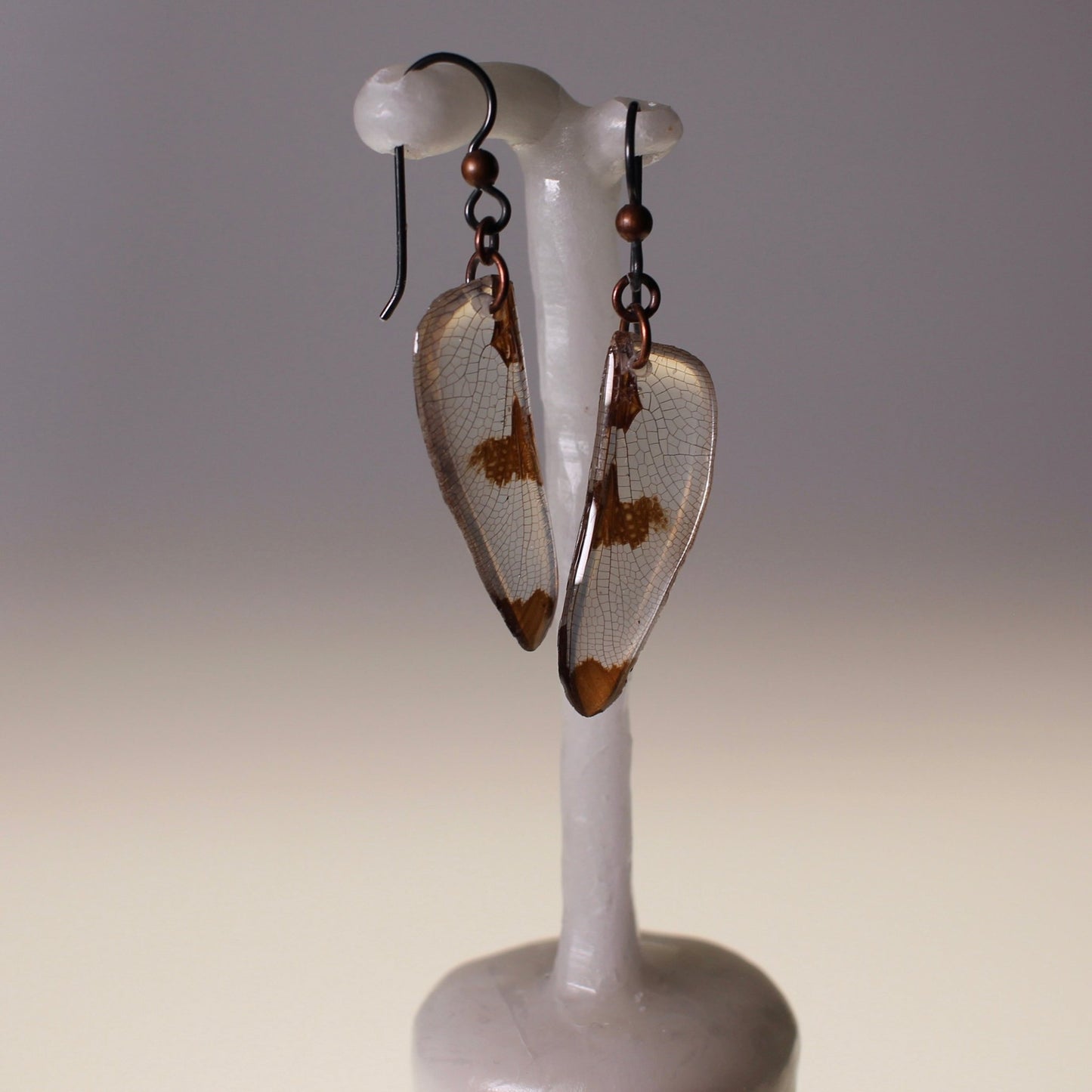 Real Dragonfly Wing Earrings Widow Skimmer Dragonflies Copper Black Niobium Earring - Isms Butterfly Conservation ArtEarrings