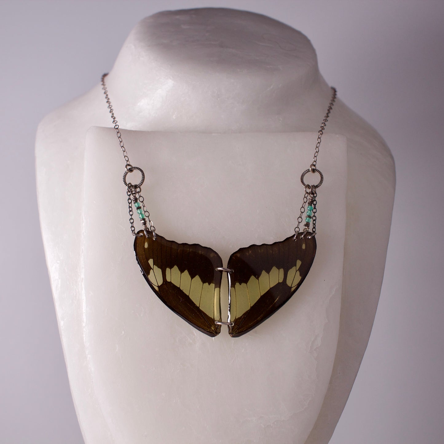 real Butterly wing necklace green black wings swallowtail butterflies apatite sterling silver necklace on form