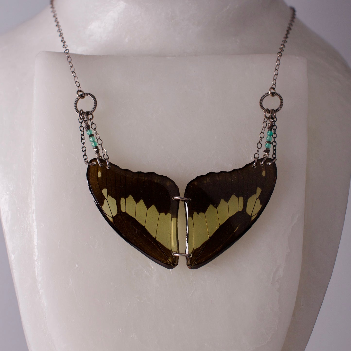 real Butterly wing necklace green black wings swallowtail butterflies apatite sterling silver necklace on form