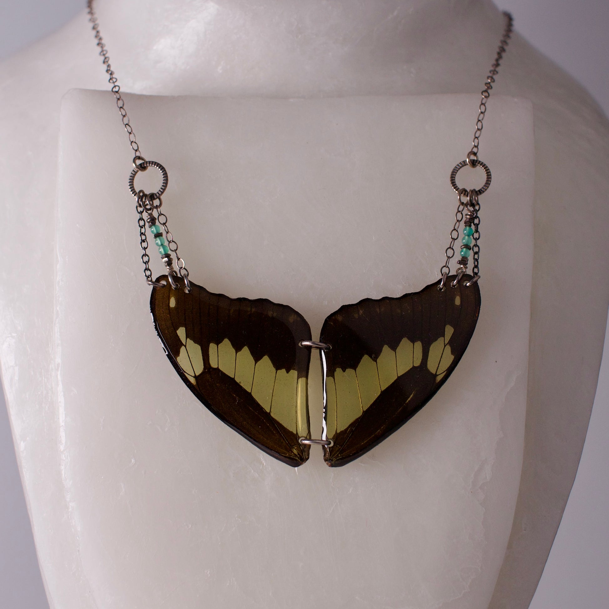 real Butterly wing necklace green black wings swallowtail butterflies apatite sterling silver necklace on form