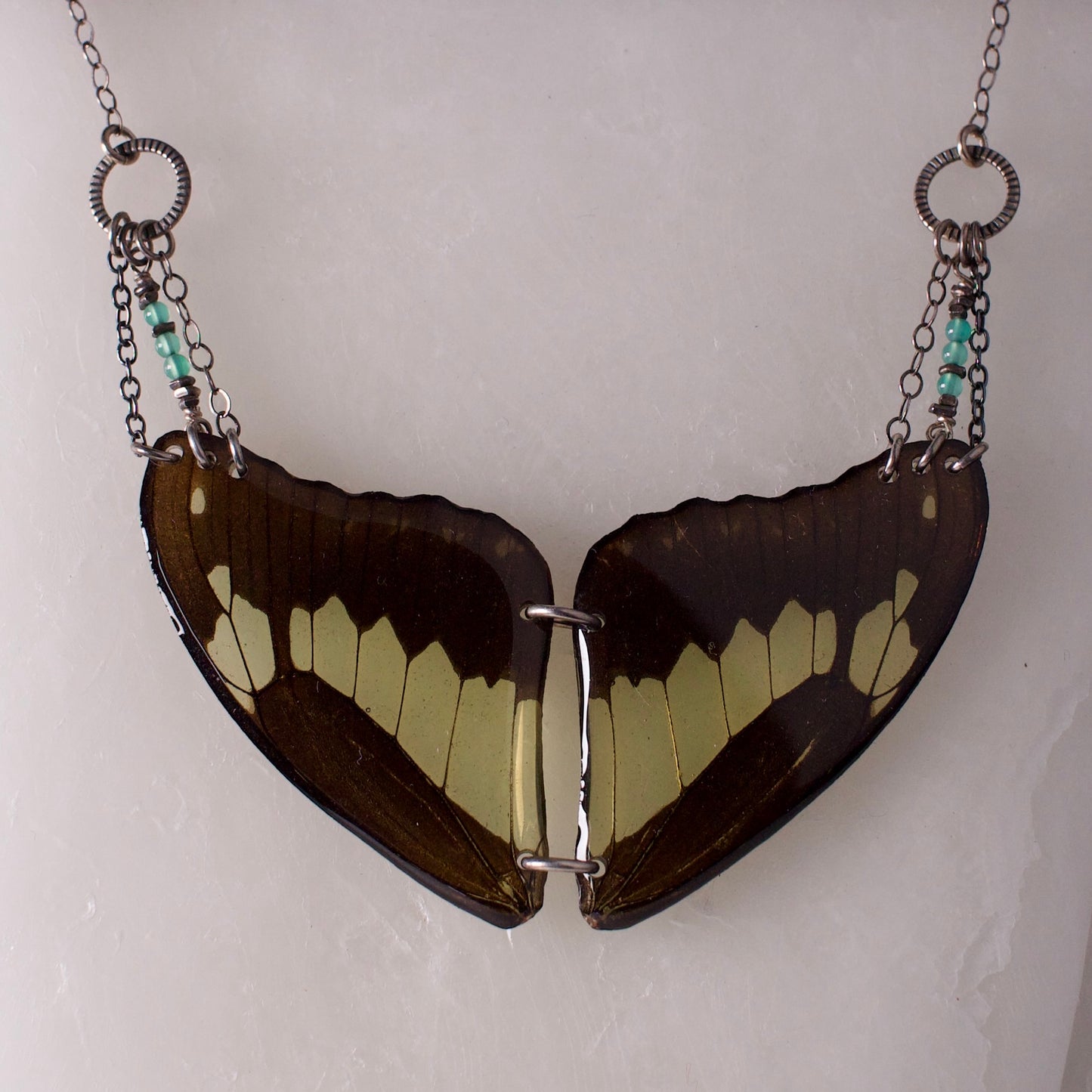 real Butterly wing necklace green black wings swallowtail butterflies apatite sterling silver necklace close up