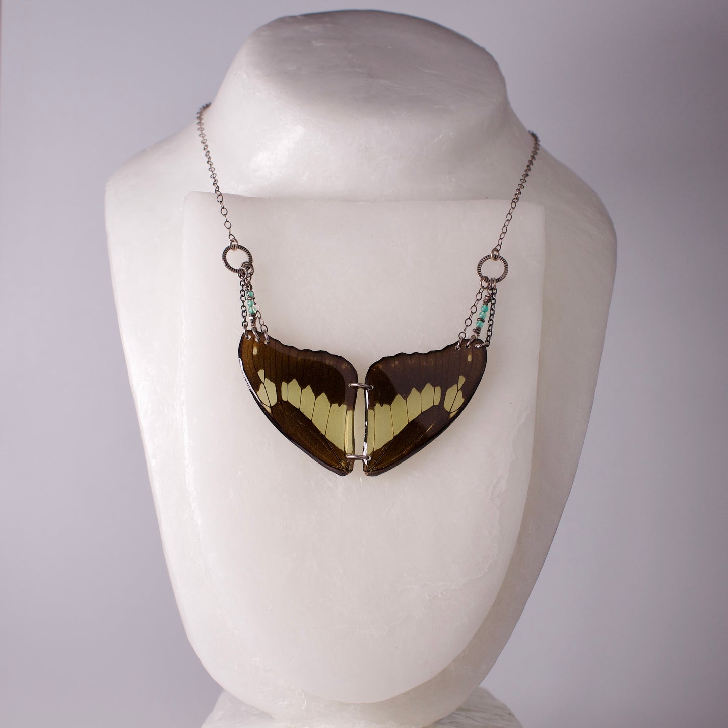 real Butterly wing necklace green black wings swallowtail butterflies apatite sterling silver necklaces on form