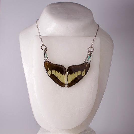 real Butterly wing necklace green black wings swallowtail butterflies apatite sterling silver necklaces on form