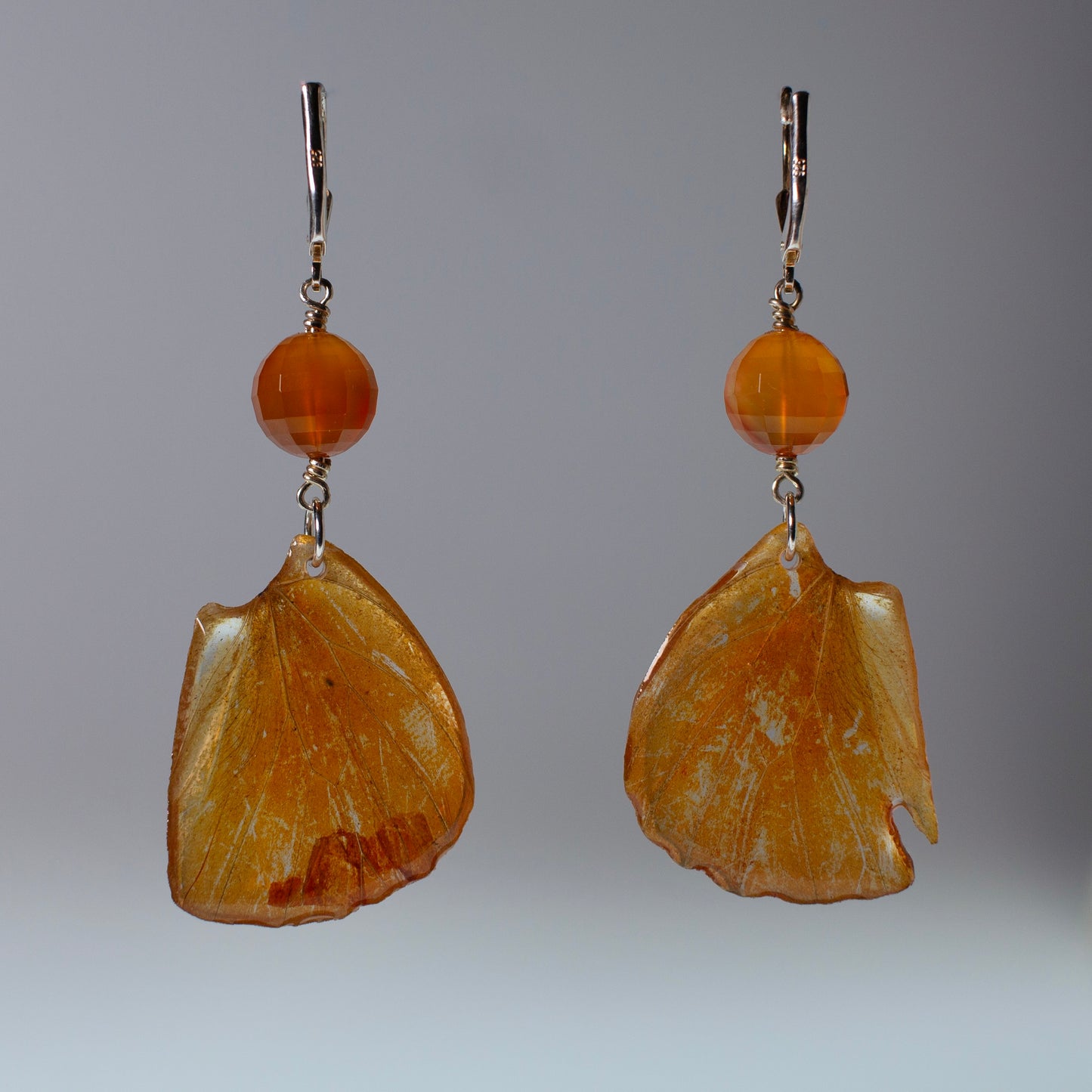 real butterfly earrings Appias nero orange butterflies silver locking earring carnelian grey background