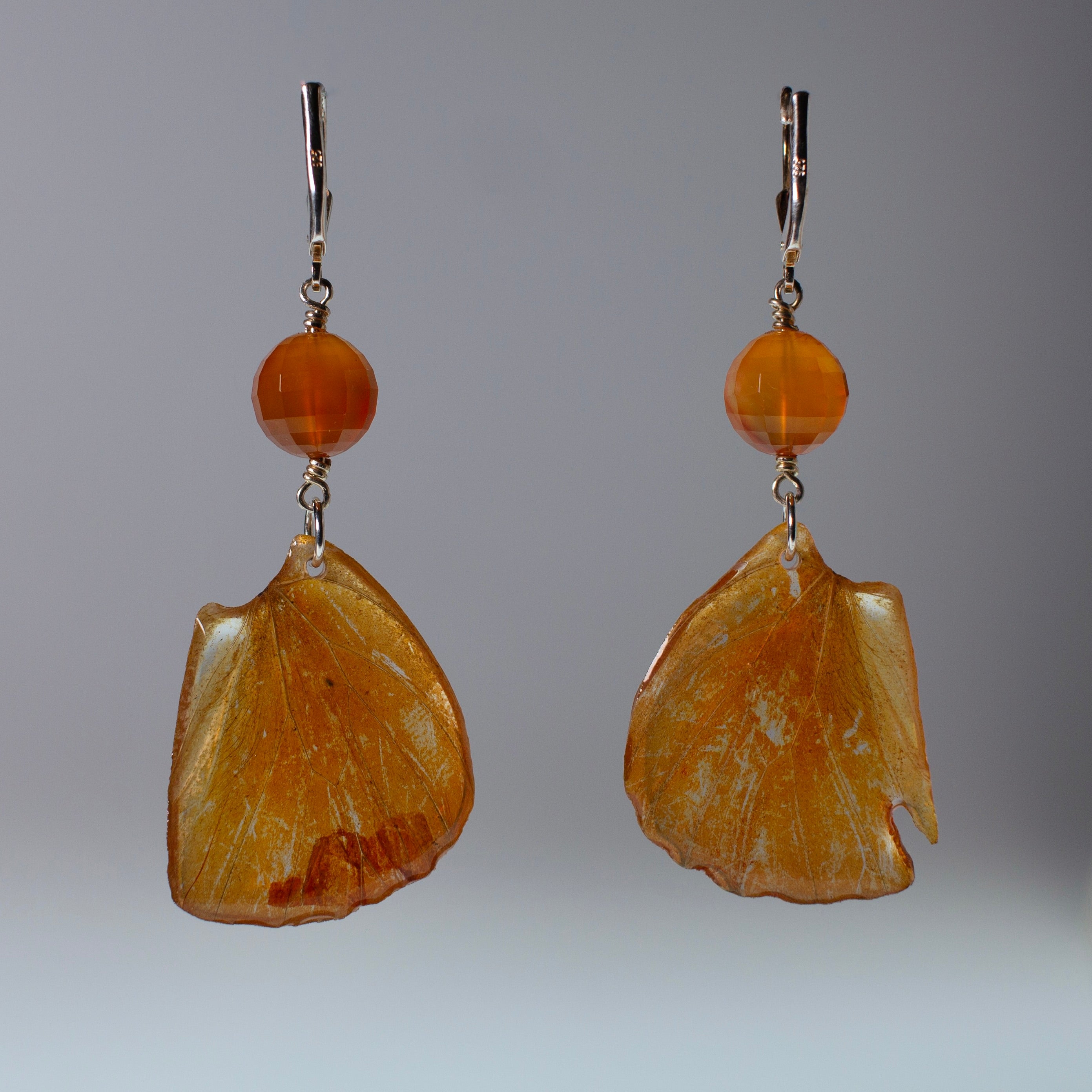 real butterfly earrings Appias nero orange butterflies silver locking earring carnelian grey background