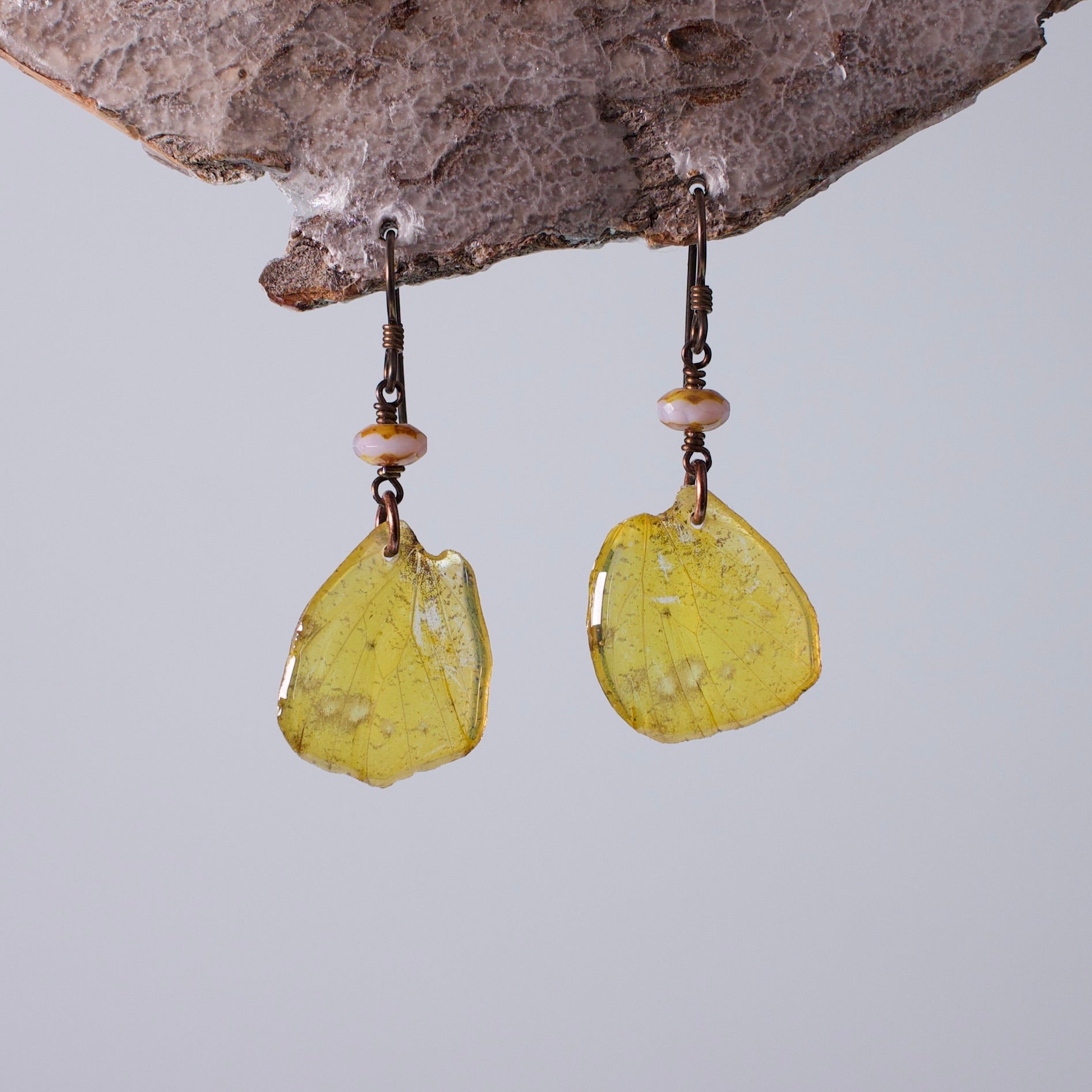 real butterfly earrings Eurema hecabe butterflies Czech Glass Copper Niobium Earring on woods stand