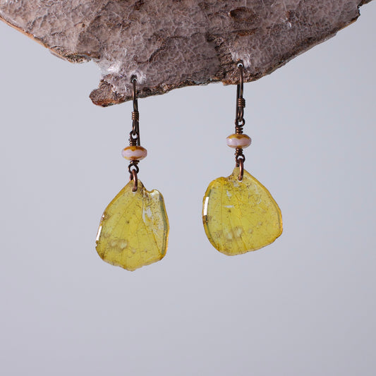 real butterfly earrings Eurema hecabe butterflies Czech Glass Copper Niobium Earring on woods stand